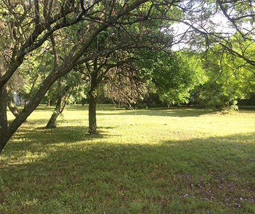 Large-garden.jpg